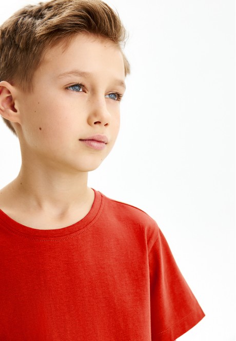 Camiseta para niño, color rojo 531866 - 531874 para comprar a precio 299  руб — tienda en línea de Faberlic