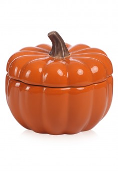  FABERLIC HOME Ripe Pumpkin Pot with Lid