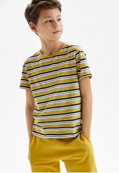 ShortSleeve Tshirt for Boy Striped Multicolour