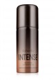 Парфюмированный дезодорант в аэрозольной упаковке для мужчин Faberlic Intense