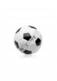 SHOE ODOR REMOVER BALLS