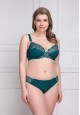 Lorena Slip Briefs