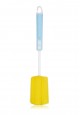 Glass Sponge