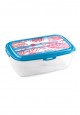 Container for picnic