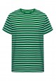 Mens Striped Tshirt green