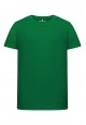 Boys Tshirt green