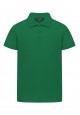 Boys Polo Shirt green