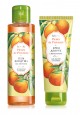 Orange Vanilla Gift Set