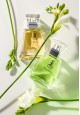 Kaori Bamboo Eau de Parfum For Her