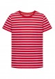 Boys Short Sleeve Tshirt red