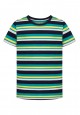 Boys Short Sleeve Tshirt multicolor