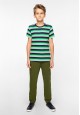 Boys Short Sleeve Tshirt multicolor