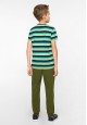 Boys Short Sleeve Tshirt multicolor