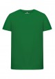 Boys Short Sleeve Tshirt green