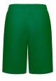 Boys Jersey Shorts green