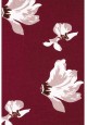 Night Dress burgundy