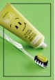 Healthy Gums Toothpaste