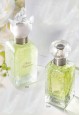 Pour Toujours Parfume for Women