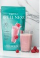 Wellness Shake Mix Raspberry
