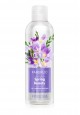 Spring Beauty Fresia Shampoo Balm 2 in 1